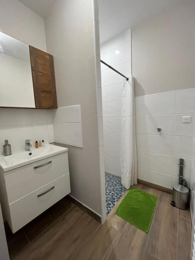 Appartement Renove A 15 Min De Lyon Saint-Fons 外观 照片