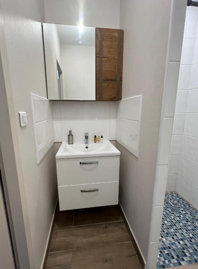 Appartement Renove A 15 Min De Lyon Saint-Fons 外观 照片